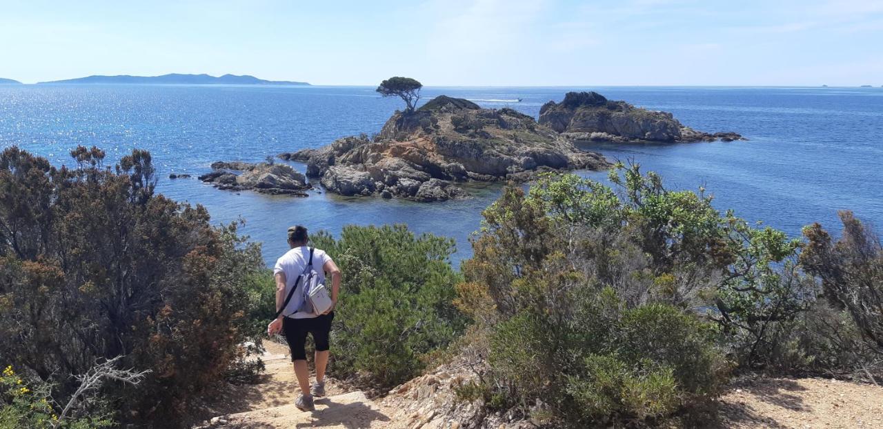 Roulotte Fenouillet Hotel Hyères Eksteriør billede