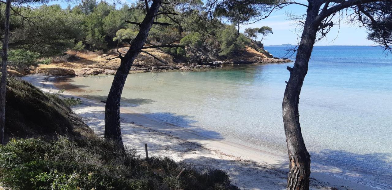 Roulotte Fenouillet Hotel Hyères Eksteriør billede