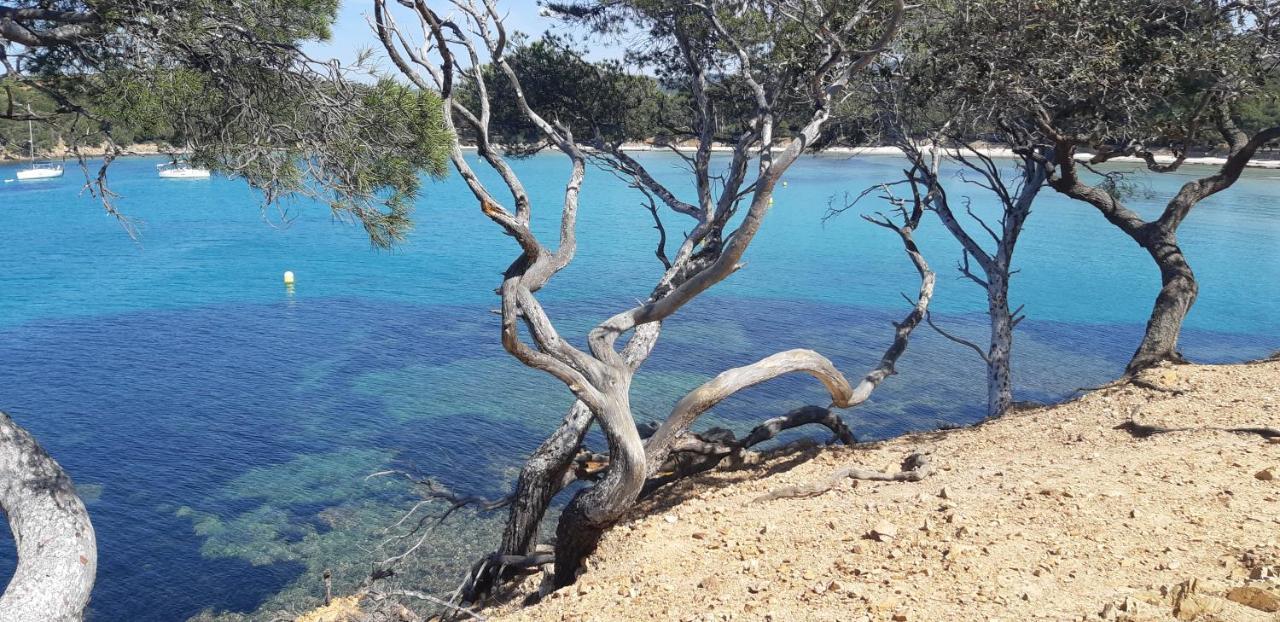 Roulotte Fenouillet Hotel Hyères Eksteriør billede