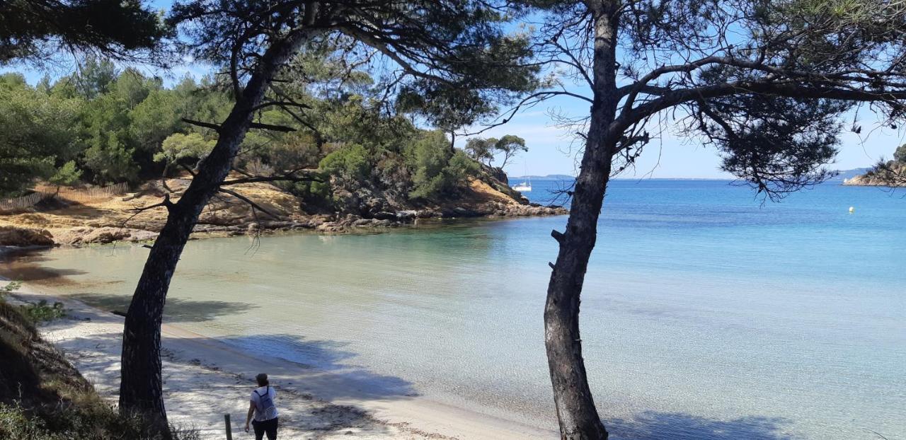 Roulotte Fenouillet Hotel Hyères Eksteriør billede